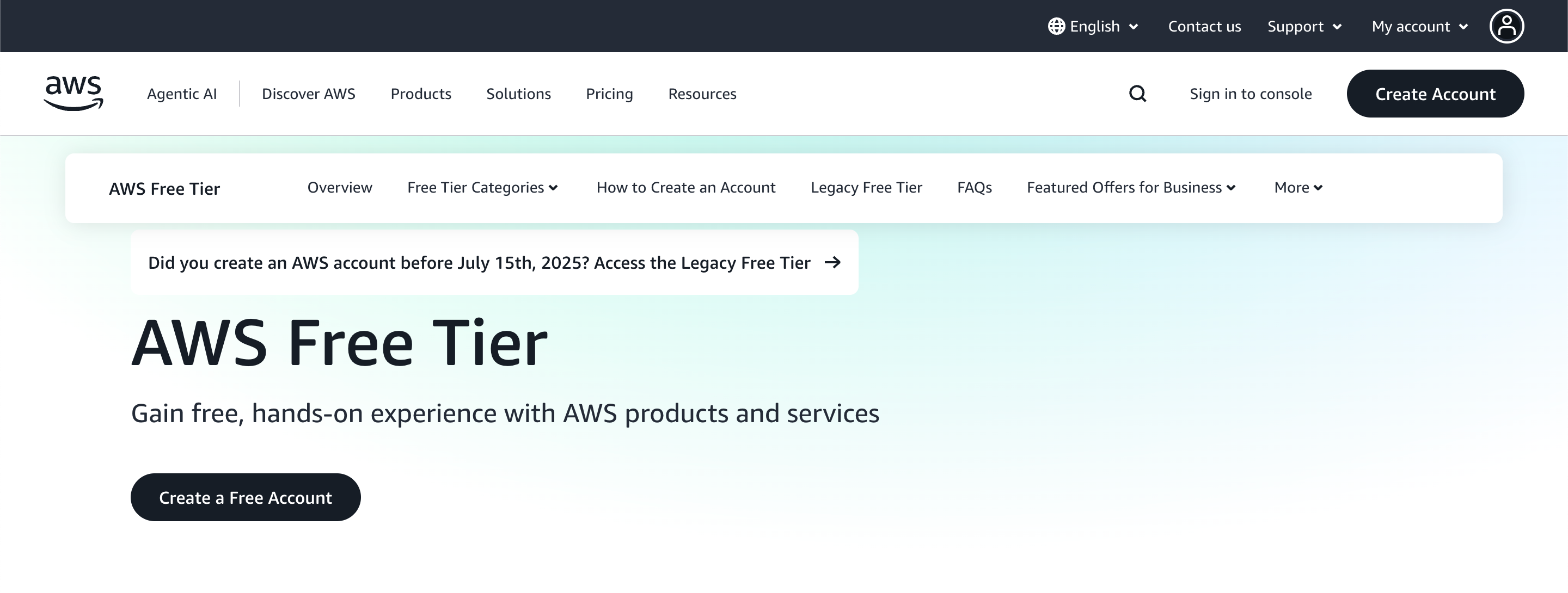 The Free Tier marketing page.
